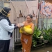 Bantuan Korban Banjir