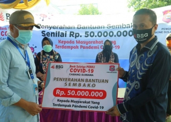 Bantuan Pemerintah