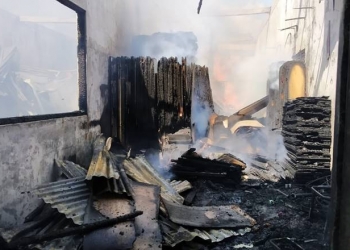 Kebakaran Global Baru