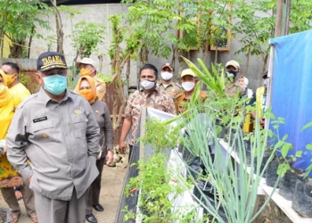 Penerima Bantuan Pemprov Gorontalo Wajib Berkebun