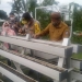 Belajar Berkebun