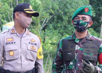 Penjagaan perbatasan