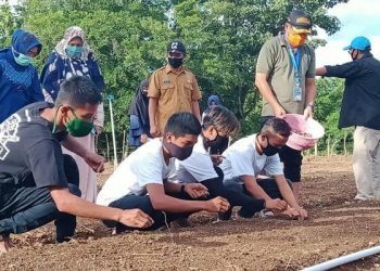Hamim Pou program rumahku kebunku di Bulonthala timur