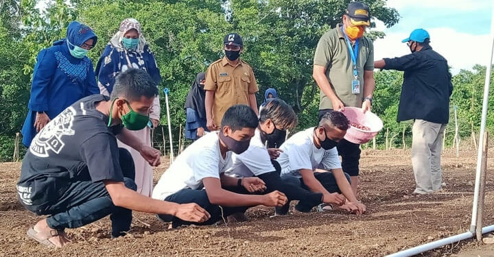 Hamim Pou program rumahku kebunku di Bulonthala timur