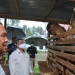 Tinjau Peternakan Kambing di Hutadaa