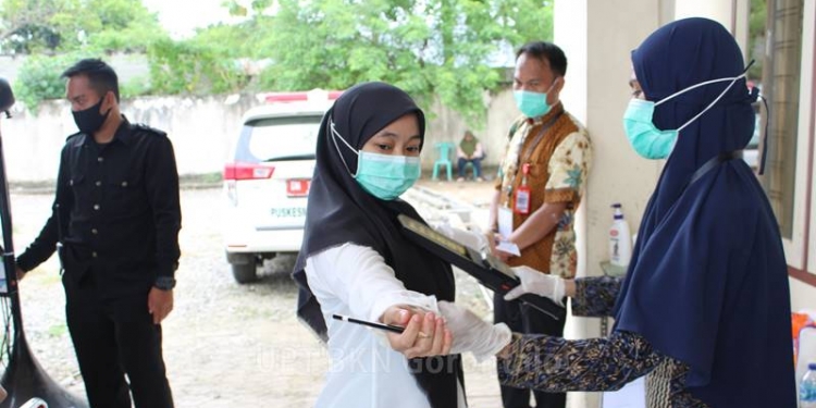 Pengumuman Hasil CPNS 2019