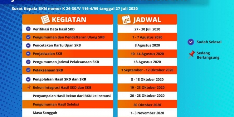 CPNS 2019