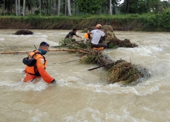 Pencarian terhadap Saman yang dikabarkan hilang saat memindai sapi