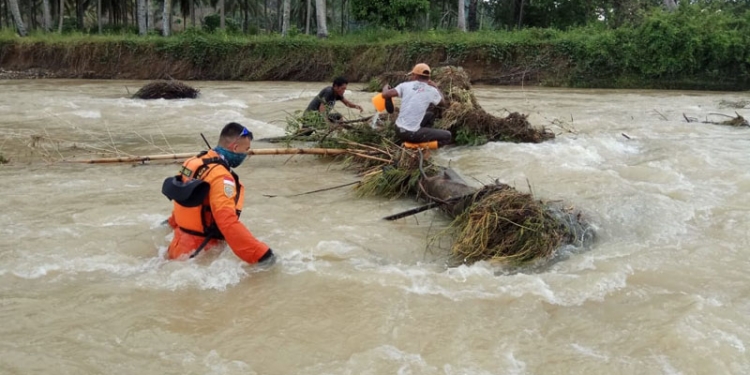 Pencarian terhadap Saman yang dikabarkan hilang saat memindai sapi