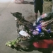 Sepeda Motor bertabrakan Ambulans