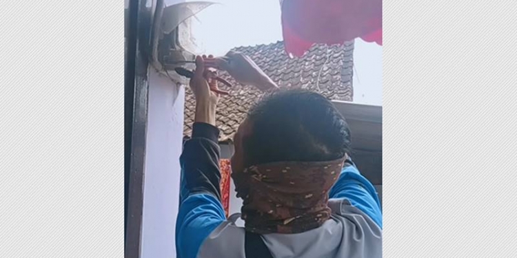 Pelanggan PLN