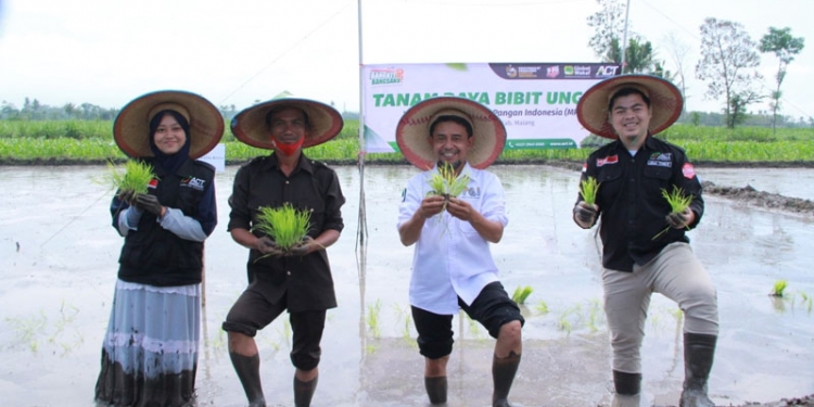 Aksi Cepat Tanggap (ACT) Malang - Global Wakaf, tanam perdana bibit padi jenis HMS 700, di Embung Pandanmulyo, Kecamatan Tajinan, Kabupaten Malang,  Rabu (4/11/2020)