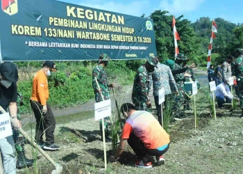 Personil Korem 133/ Nani Wartabone saat  melakukan penanaman tanaman Vetiver. Foto: Istimewa.