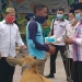 Penjabat Sementara Bupati Gorontalo, Mitran Tuna, menyerahkan bantuan sapi bagi masyarakat di Desa Tabongo Timur, Kecamatan Tabongo, Kabupaten Gorontalo.
