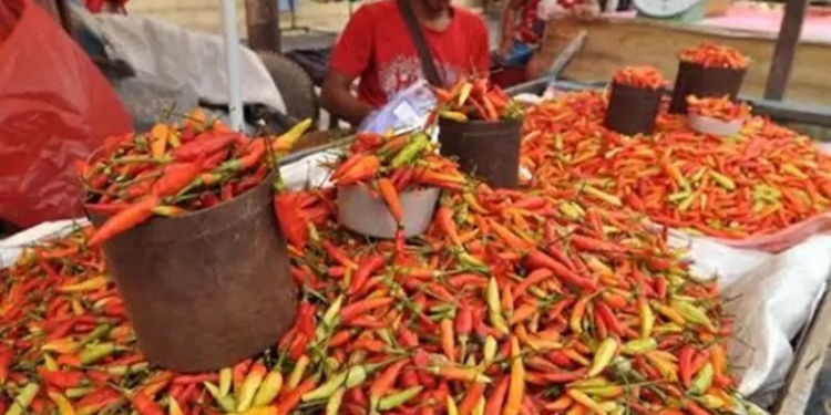 Harga Bawang Putih dan rica di Gorontalo mengalami penurunan