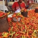 Harga Bawang Putih dan rica di Gorontalo mengalami penurunan