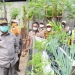 Prestasi Gorontalo ditengah