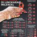 Data penyebaran HIV/AIDS di Gorontalo sampai dengan Oktober 2020. infografis Gopos.id