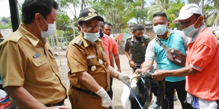 Dorong Pemulihan Ekonomi Masyarakat, Indra Yasin Serahkan Bantuan Ternak