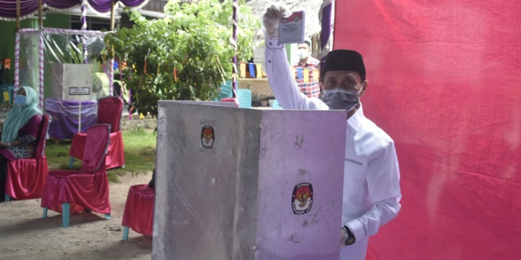 Nelson 2 Kali Lebih Baik