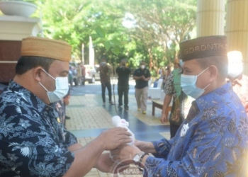 Pembagian bibit