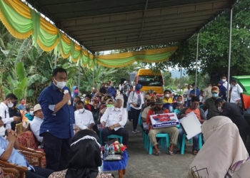 Bantuan Alsintan