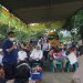 Bantuan Alsintan