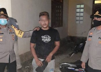 Pelaku pencurian