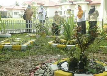 Taman RSUD Ainun Habibie