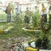 Taman RSUD Ainun Habibie
