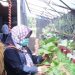 Kelompok Wanita Tani