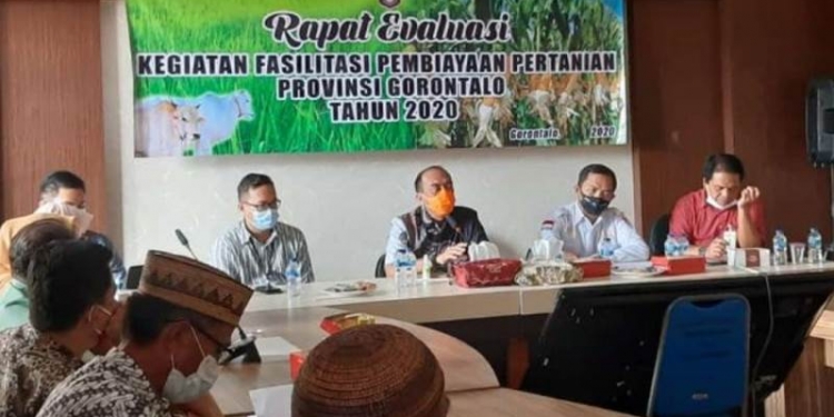 Pertanian Gorontalo