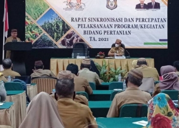 Pertanian Gorontalo