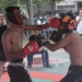 Exihibiton IBA-MMA