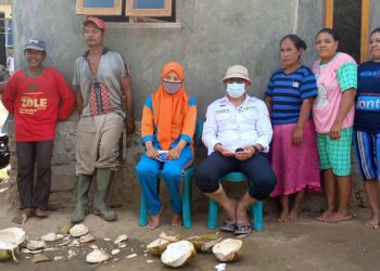 Dusun Gindapi jadi sentra pengembangan pertanian terpadu