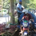 Taman Jalan