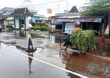 Kondisi ruas jalan yang menghubungkan Kabupaten Blitar dengan Kabupaten Tulungagung yang mengalami kerusakan. (foto: gopos)