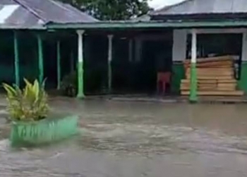 Genangan Air