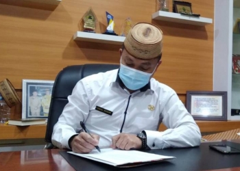 pendapatan pajak