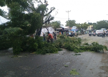 PANGKAS POHON - Pemangkasan pohon pelindung di tepi jalan raya Telaga-Limboto, Sabtu (13/2/2021). (ramlan/gopos)