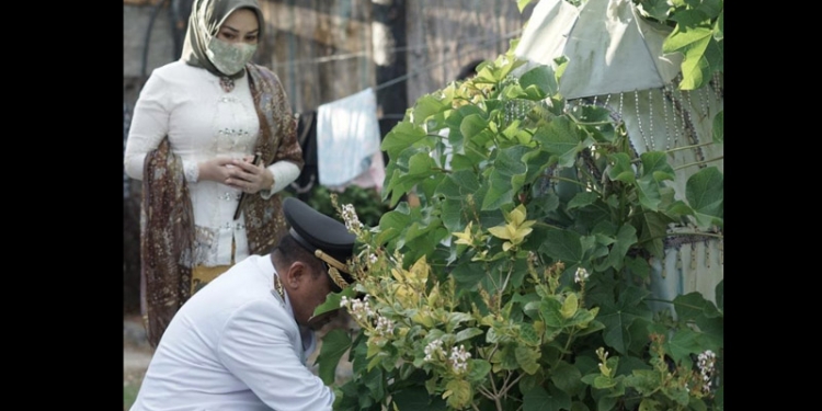 Wakil Bupati Gorontalo Hendra S Hemeto saat berziarah Ke makam ibundanya Hj Nun Hemeto (istimewa)