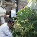 Wakil Bupati Gorontalo Hendra S Hemeto saat berziarah Ke makam ibundanya Hj Nun Hemeto (istimewa)