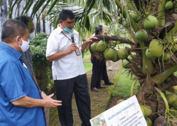 Balit Palma Gorontalo