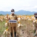 Kebun Bappeda gorontalo