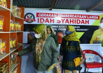 Lansia produktif
