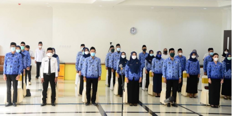 Pejabat fungsional