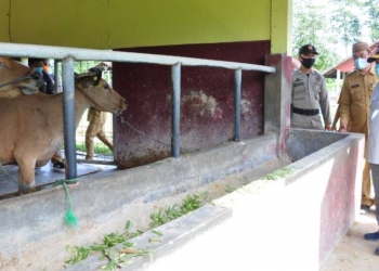 Pembibitan ternak