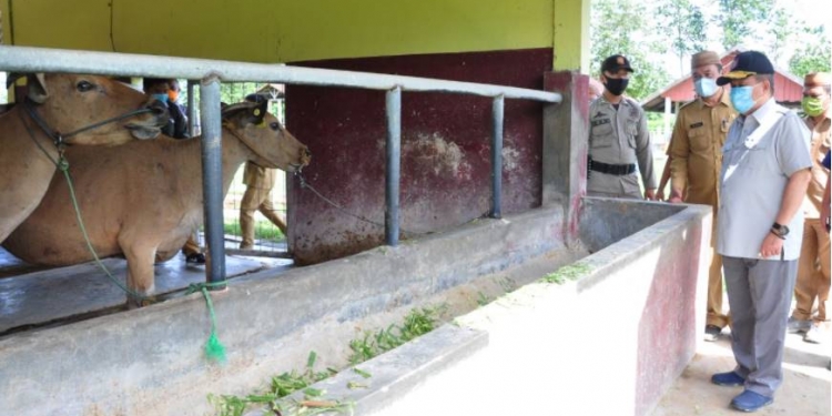 Pembibitan ternak