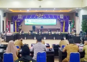 pansus kepemudaan