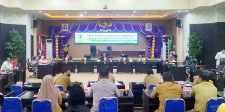 pansus kepemudaan
